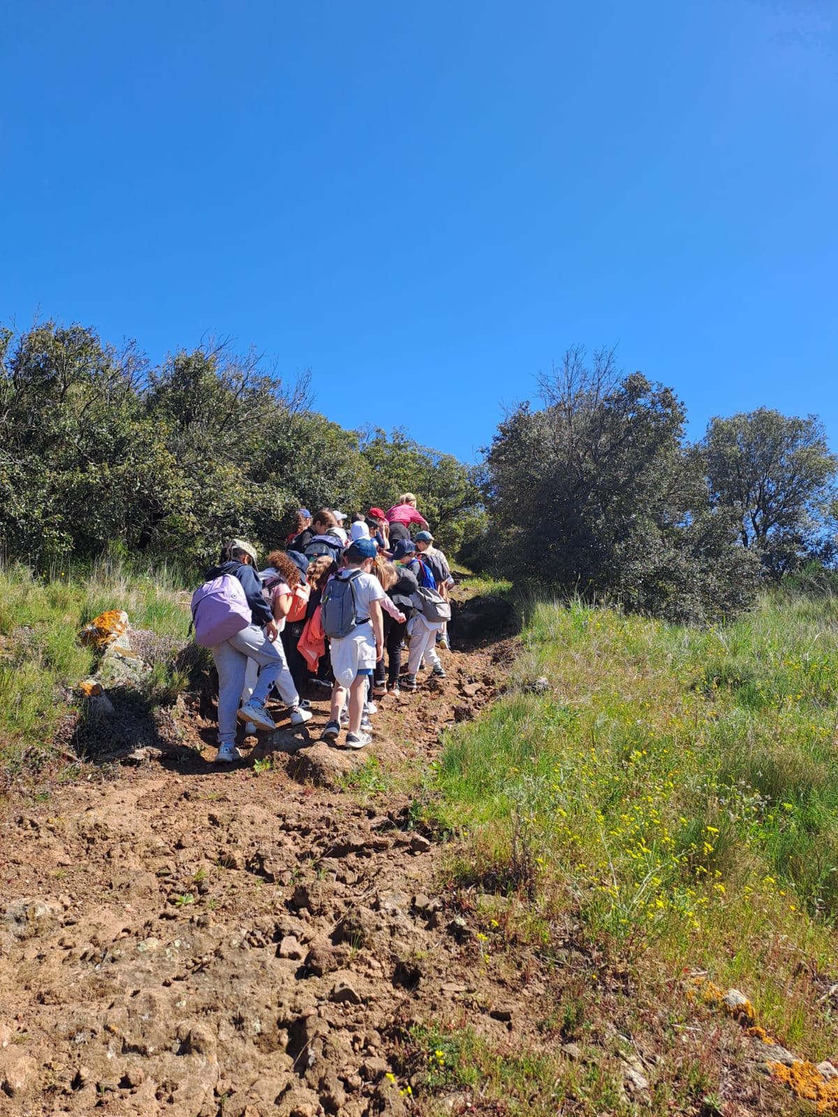 G D V B | 1 Cube énergie = 15 minutes continues d'activité physique