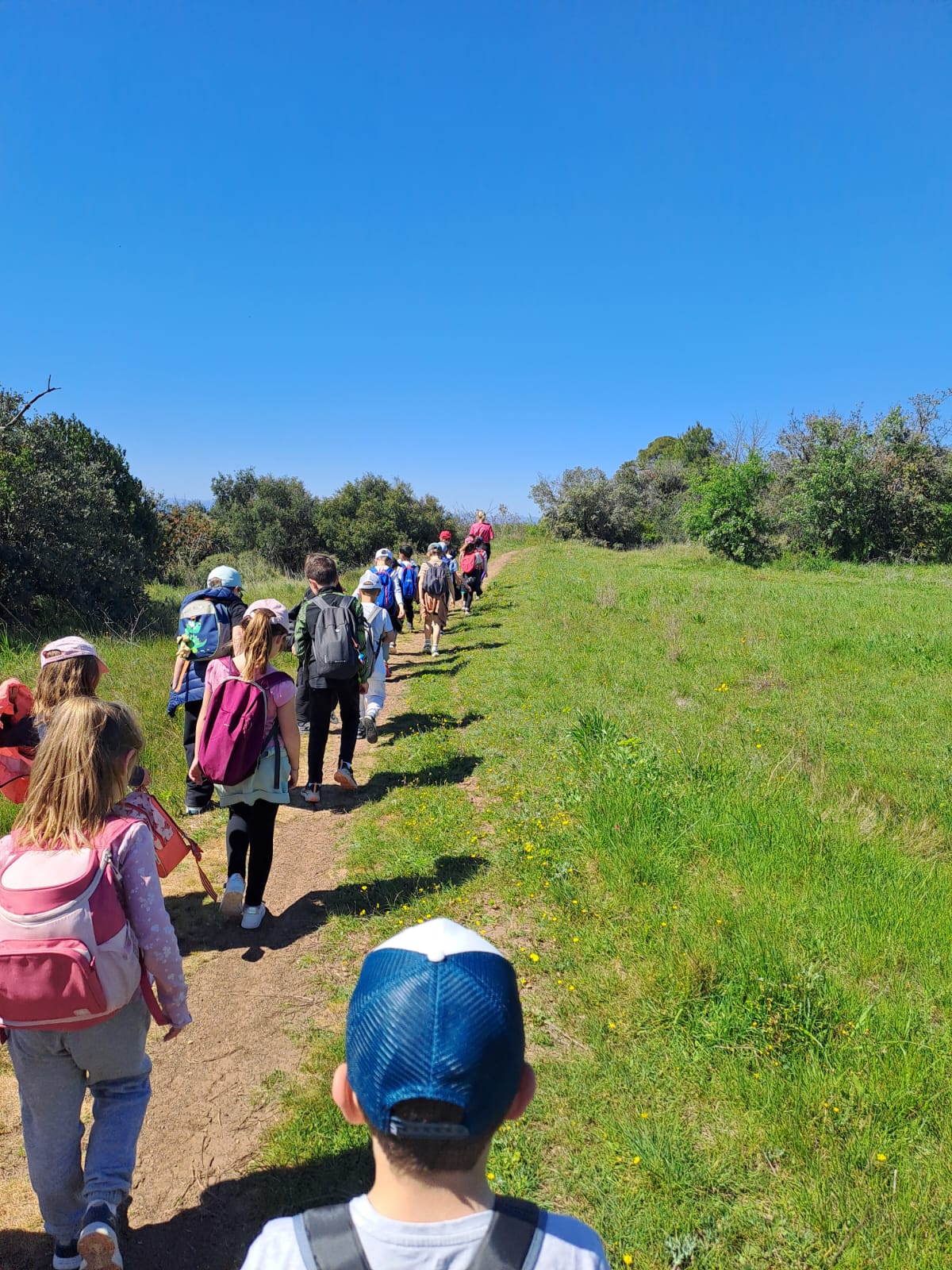 G D V B | 1 Cube énergie = 15 minutes continues d'activité physique