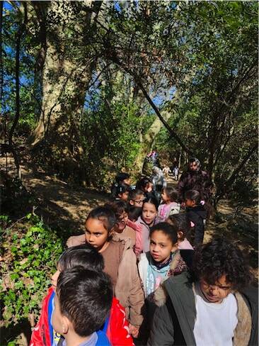 G D V B | 1 Cube énergie = 15 minutes continues d'activité physique