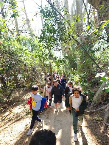 G D V B | 1 Cube énergie = 15 minutes continues d'activité physique