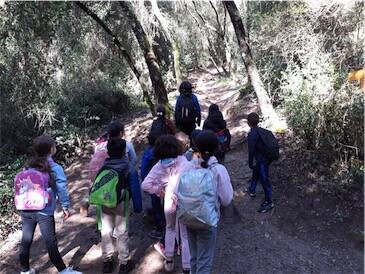 G D V B | 1 Cube énergie = 15 minutes continues d'activité physique