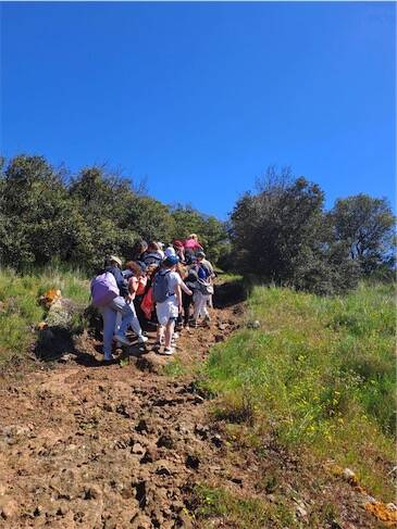 G D V B | 1 Cube énergie = 15 minutes continues d'activité physique